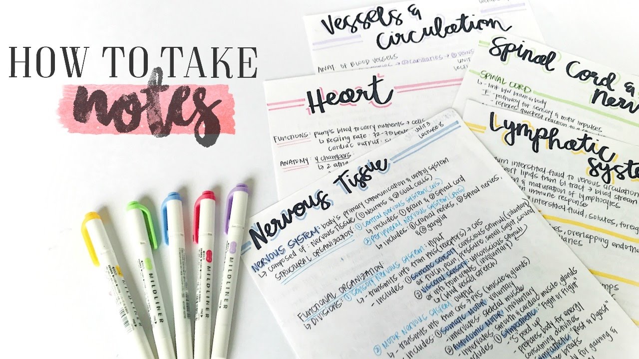 How To Take Awesome Notes Study Effectively Christylynn Youtube