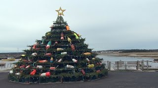 Lobster-trap Christmas tree honours local fishermen in N.S.