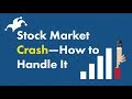 Stock Market Crash -- How to Handle It