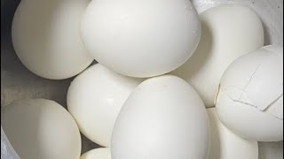 100 முட்டை தோலை 1 நிமிடத்தில் உரிப்பது எப்படி / egg skin remove tips