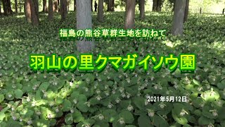 「羽山の里クマガイソウ園」訪問（2021年5月）