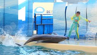 ◆えのすい　きずな（2019．01．01）14：45~ ◆【新江ノ島水族館】