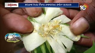 వాతావరణం-వ్యవసాయం | Weather Report For Agriculture | Matti Manishi | 10TV