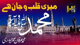 Meri Qalb o Jaan Hai Muhammad | Heart Touching Naat Sharif By Irfan Umar Haidri | HIPRO