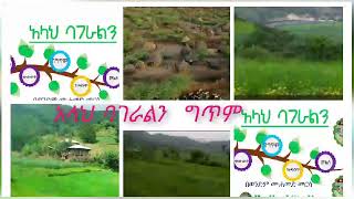 #አላህ ባገራልን#ግጥም