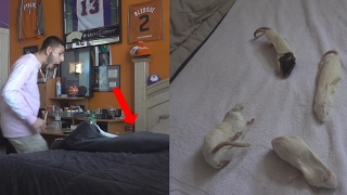 DEAD RATS IN MY BROTHERS BED PRANK!! (DISGUSTING) | FaZe Rug