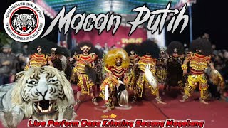 Full Penonton Hampir Saja Diberhentikan !!! Macan Putih Kambengan Donorejo  Live Krincing Secang MGL