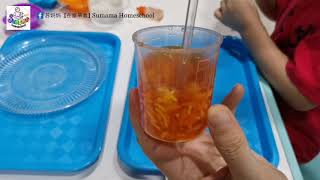 幼儿科学实验 ： 制作水精灵  science experiments for kids at home  · 苏妈妈 Sumama