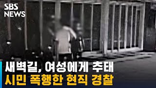 새벽길, 여성에게 추태…말리던 시민 폭행한 자가 '경찰' / SBS