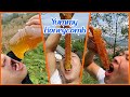 ABS Honey BEE | Best HoneyComb Eating ASMR | Eating Videos🎖️9