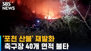 '포천 산불' 재발화…축구장 40개 면적 불타 / SBS