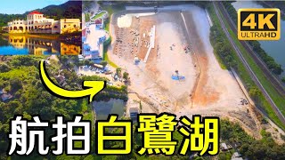 【航拍白鷺湖】小白鷺｜紅樹林｜人類民俗館｜白鷺林｜滌濤山｜大埔公路大埔滘段｜科學園｜白石角｜鹿茵山莊｜Tai Po Kau｜Lake Egret Nature Park