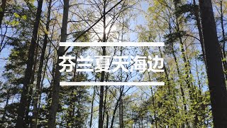 芬兰人怎么过周末-海边休闲 Weekend time in Finland