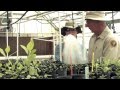 Song Dog Native Plant Nursery