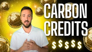 What are Carbon Credits? (And can they make you Money?)