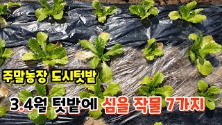 3.4월에 심을 작물 지금 서두르세요~ 7가지 작물