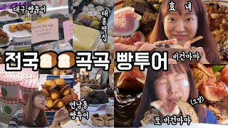 전국빵빵곡곡 빵투어ㅣ대구 빵투어ㅣ비건마마ㅣ대흥떡집ㅣ연남동 빵투어ㅣ또 비건마마ㅣ프로빵순이