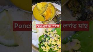 Ponchoমুখী কচুৰ লগত মাছ ।#bishmaiassamesevlogs #shorts #food #assamesethali