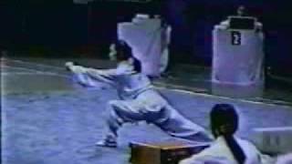 Fanzi Quan 翻子拳