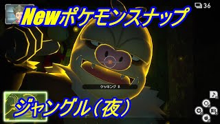 【Newポケモンスナップ】ルートスコア6406794点　ジャングル（夜）