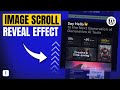 How to Add Image Hover & Scroll Effects in WordPress | Portfolio & Product Reveal