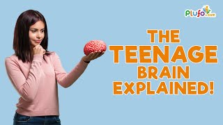The teenage brain explained! | How does the Teenage Brain work? | Plufo