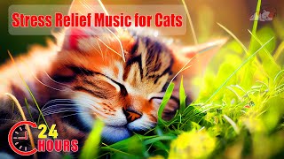 24 Hours Stress Relief Music for Cat😺 Cure Separation Anxiety Cats Music & Cats Calming Music