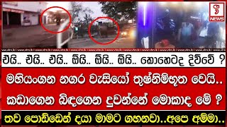 මහියංගන නගර වැසියෝ තුෂ්නිම්භූත වෙයි.. කඩාගෙන බිඳගෙන දුවන්නේ මොකාද මේ ?