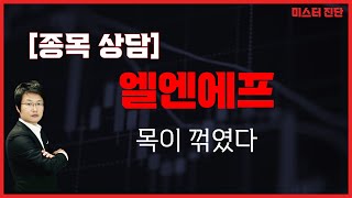 시간이 지나면 올라가겠지만... / 엘앤에프(066970) [이종복 전문가_미스터진단]