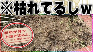 【爆笑】実在する面白看板と張り紙にツッコミ15連発ｗｗｗ