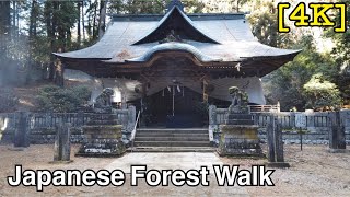 [4K] (Relaxing)Forest walk in rural Japan with Shinto shrines