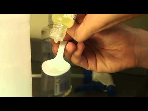 How to Get Rid of Ants in your Car How to Get Rid of Ants in your Car