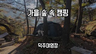 EP26. 가을 숲 속 캠핑