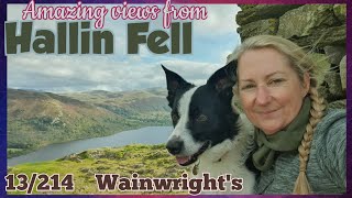 Hallin Fell alone. Wainwright's An amazing view for lunch!  #wainwrights #solofemale #amazingview