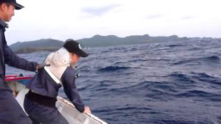 2011 4.24 綠島 17kg 黃鰭鮪 / Yellow Fin Tuna @Green Island