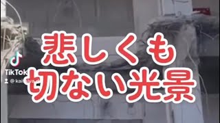 悲しくも切ない光景が目の前に広がる　解体工事　解体現場