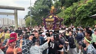 令和六年　横須賀　浦賀　榊神社大禄天例大祭　宮入