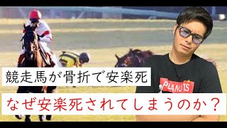 なぜ競走馬は骨折で安楽死されるの？