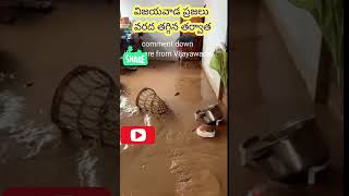 విజయవాడలో ప్రజలు వర్షం తగ్గిన తర్వాత కామెంట్ చేయండి సబ్స్క్రయిబ్ తప్పక చేయండి