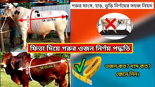 ফিতা দিয়ে গরুর ওজন ও মাংস পরিমাপের সহজ পদ্বতি।How to measure cow weight easily.গরুর ওজন নির্ণয়।Forid