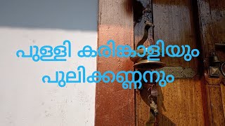 കുന്നുംപുറത്ത് ശ്രീ പുള്ളി കരിങ്കാളി ക്ഷേത്രം