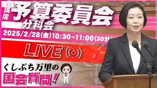 【くしぶち万里　国会質問】災害大国ニッポン！スーパー堤防は必要か？木造密集地域、水害対策／米も野菜も高いがガソリン代なんとかして！（2025年2月28日 10:30頃～）#れいわ新選組　#東京14区