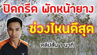 ปิดกรีดช่วงไหนดี | คลิปสั้น