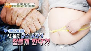 만병의 근원 비만! 내 몸속 장수 유전자 잠들게 한다?! [내 몸 사용설명서] 217회 20180907