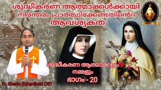 ശുദ്ധീകരണ ആത്മാക്കള്‍ക്കായി നിരന്തരം പ്രാര്‍ത്ഥിക്കേണ്ടതിന്‍റെ ആവശ്യകത | Fr Sharlo Ezhanikatt CST