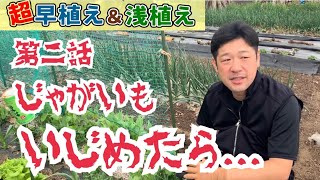 【ジャガイモが全滅！？】超早植え・超浅うえ　芽かき作業スタート！　タネのハシモト