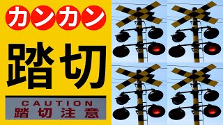 踏切 カンカン 特集【近江鉄道 金田中踏切 #1】Railroad Crossing in Japan