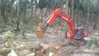 Hitachi EX200-1 at work in Filipinas Palmoil Plantation, Rosario, Agusan del Sur. Video 1