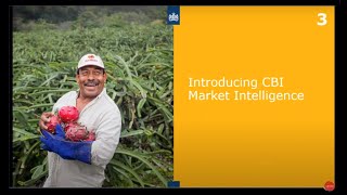 CBI Webinar: Market Intelligence Studies in 9 agri-food sectors