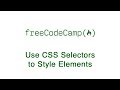 Basic CSS: Use CSS Selectors to Style Elements | freeCodeCamp